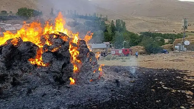 Gevaş'ta korkutan yangın!