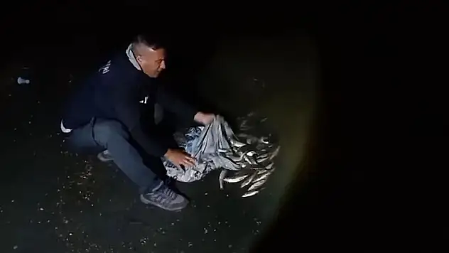 İnci Kefali avcıları yasakta bile rahat durmuyor