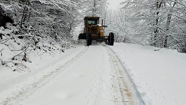 Kar Van'ı yeniden esir aldı! 143 yol ulaşıma kapandı