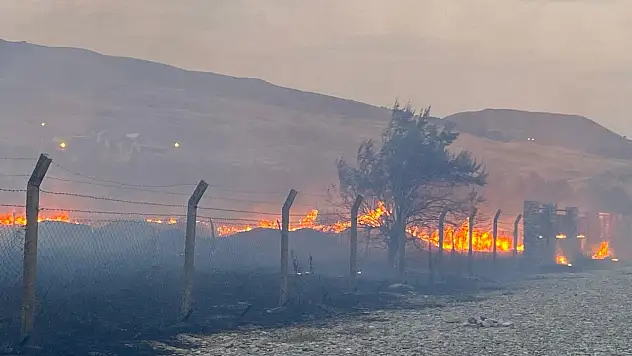 Son Dakika: Van Ayanıs'ta yangın