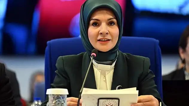 Sosyal ve Ekonomik Destek ödemeleri hesaplara yatırıldı