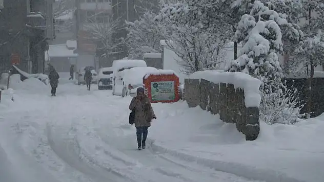 Van'a kar yağacak mı? Meteoroloji tarih verdi