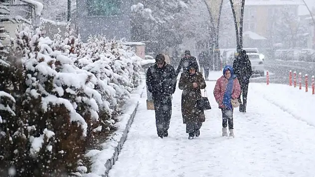 Van'a sarı kodlu uyarı: Yoğun kar yağışı ve dondurucu soğuklar geliyor
