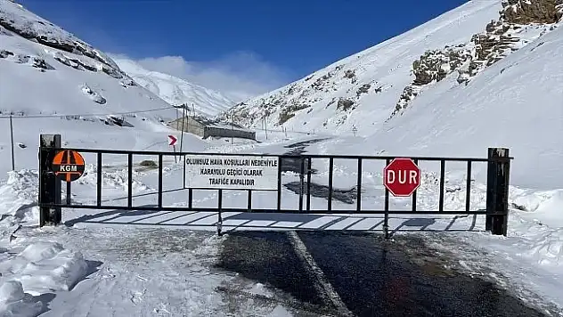 Van-Bahçesaray kara yolu kar ve tipi nedeniyle ulaşıma kapatıldı