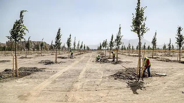 Van'da 80 bin metrekarelik yeni bir park yapılıyor