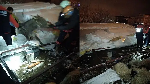 Van'da ahır çöktü: 5 küçükbaş hayvan telef oldu