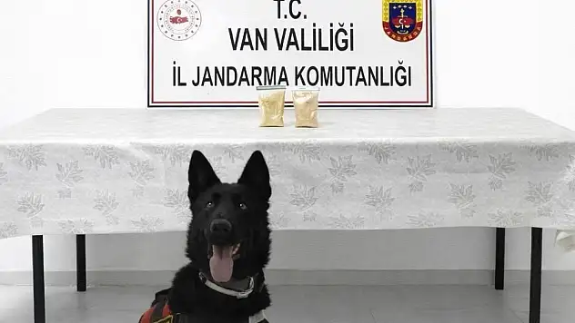 Van'da İranlı şahıstan 510 gram eroin çıktı