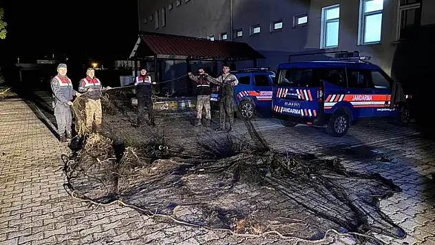 Van'da kaçak avlanan 1 ton inci kefali suya geri bırakıldı