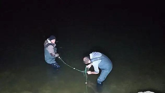 Van'da kaçak inci kefali avlayan kişiye ceza verildi
