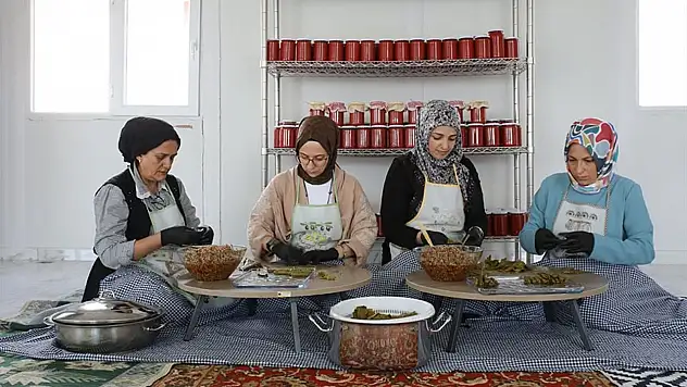Van'da kadınlar için yeni kooperatif kuruldu