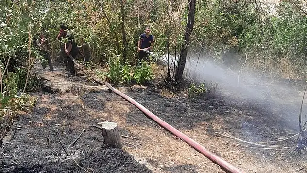 Van'da korkutan yangın