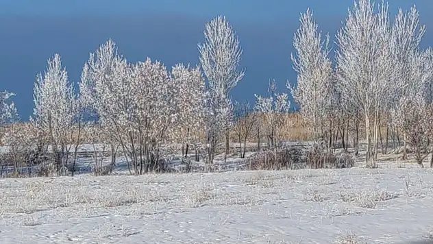 Van'da Sibirya soğukları hayatı olumsuz etkiliyor