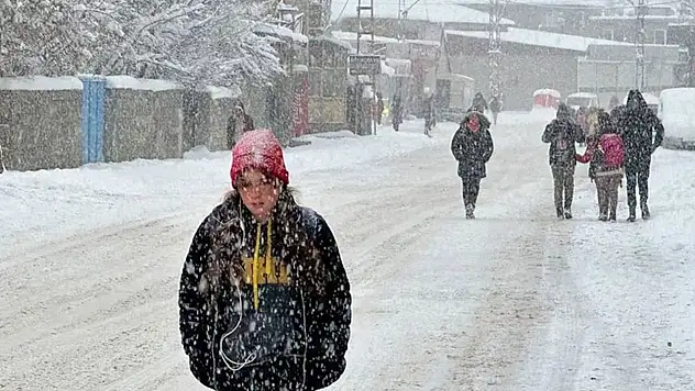Van'da yarın okullar tatil edildi!