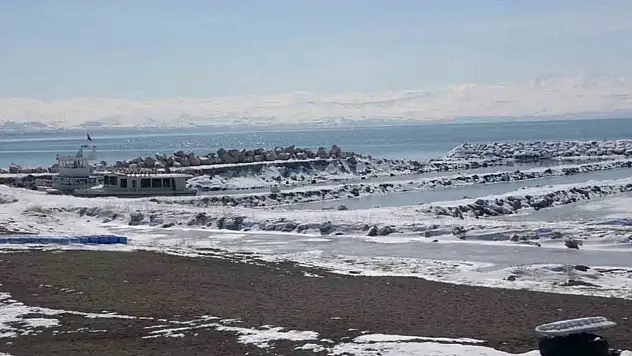 Van Gölü Havzası risk altında!