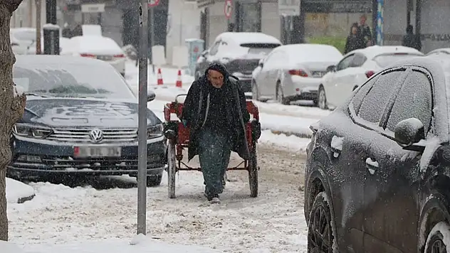 Van yağan kardan olumsuz etkileniyor