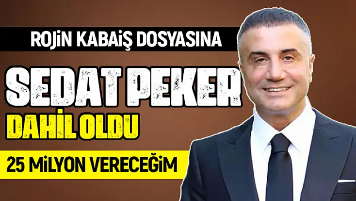 Rojin Kabaiş dosyasına Sedat Peker dahil oldu: 25 milyon vereceğim