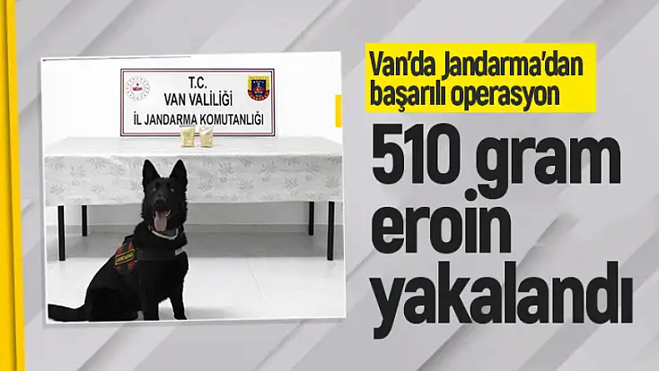 Van'da İranlı şahıstan 510 gram eroin çıktı