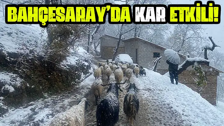Van'ın Bahçesaray ilçesinde kar etkili oldu