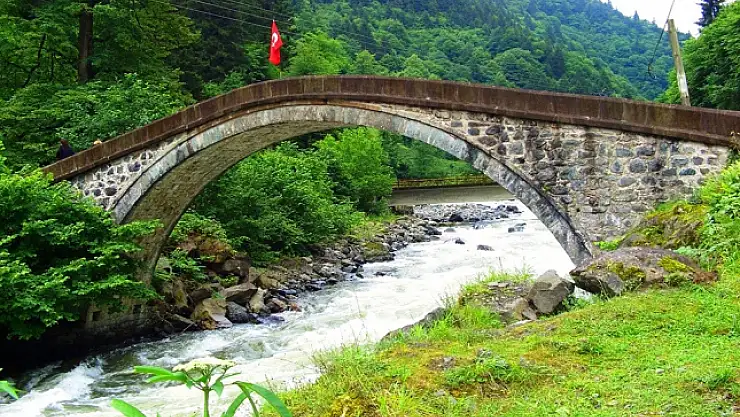 Yer: Rize! Çift başlı balıklar görenleri şaşkına çeviriyor! İşte nedeni...