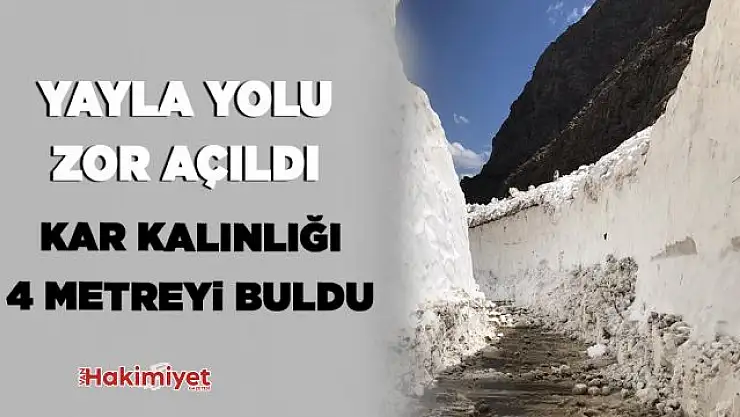 Kar kalınlığının 4 metreyi bulduğu yayla yolu açıldı
