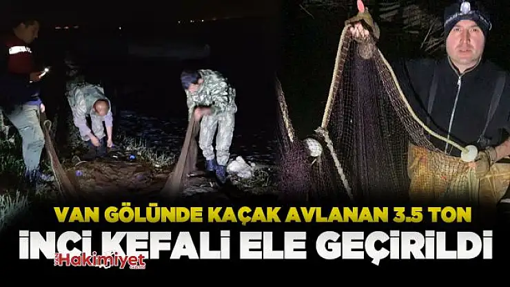 Van Gölü'nde kaçak avlanan 3.5 ton inci kefali ele geçirildi