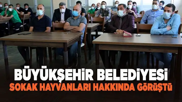 Büyükşehir Belediyesi sokak hayvanları için toplantı düzenledi