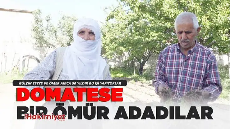 Domatese bir ömür adadılar