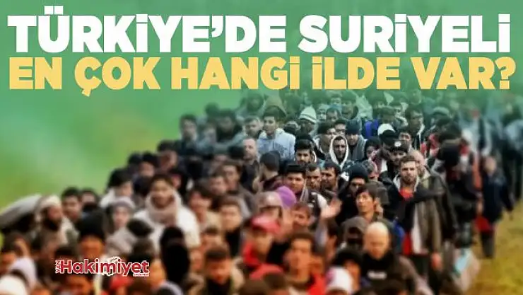 Türkiye'deki Suriyeli nüfusu