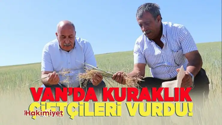 Van'da kuraklık çiftçileri olumsuz etkiledi