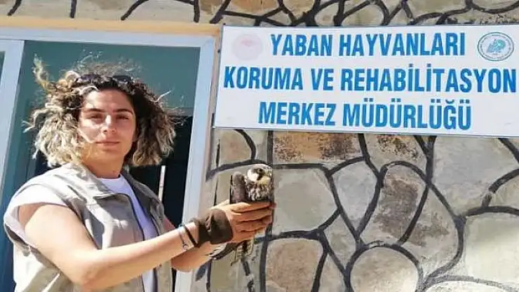 Yaralı kuşlar tedavi altına alındı