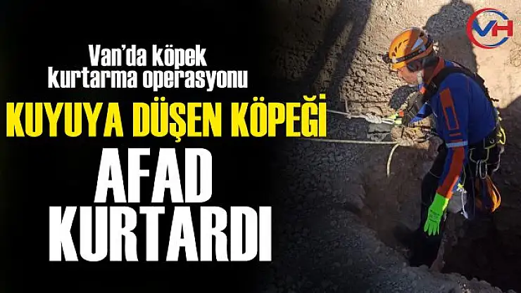 Van'da kuyuya düşen yavru köpek AFAD tarafından kurtarıldı