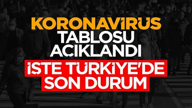 Türkiye'de vaka artışları devam ediyor.