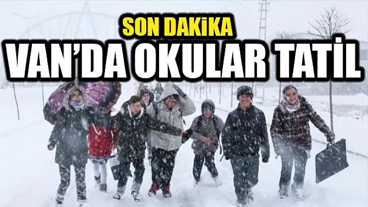 Van'da genelinde okullar tatil edildi! 14 Ocak 2022