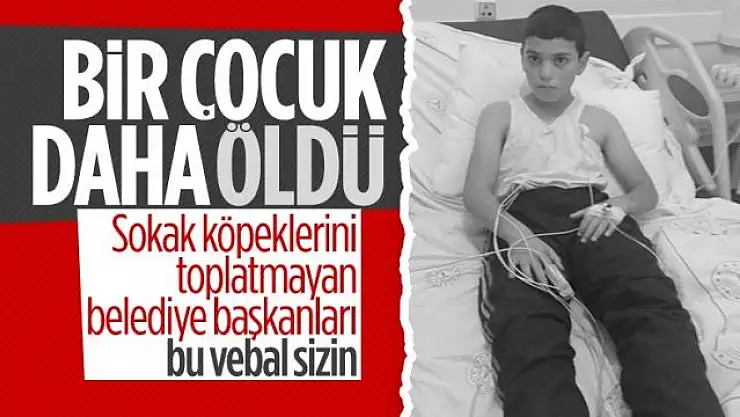 Bitlis'te köpek saldırısında kuduz olan çocuk hayatını kaybetti