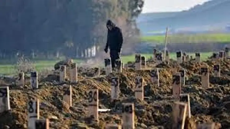 Deprem felaketinde 9'uncu gün: Son veriler açıklandı