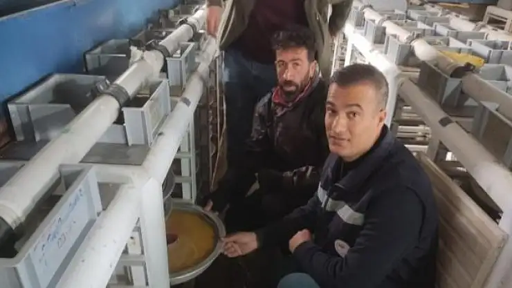 Van'da alabalık üretimi yapan tesisler denetlendi