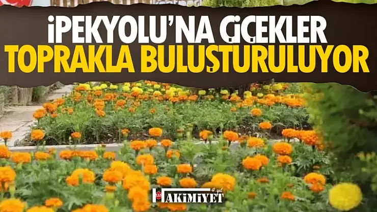 İpekyolu'nda çiçekler toprakla buluşturuluyor