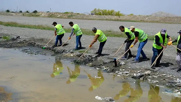 Van Gölü çevresinde temizlik seferberliği
