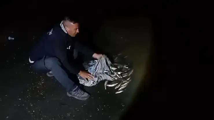 İnci Kefali avcıları yasakta bile rahat durmuyor