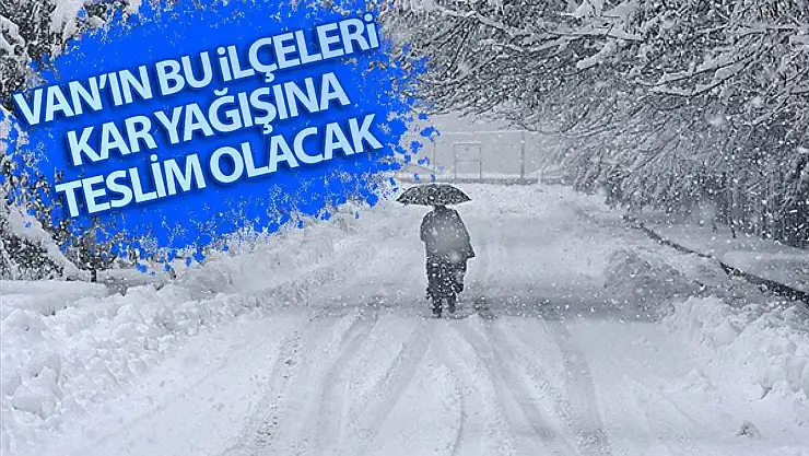 Van'a kar yağışı geri dönüyor!