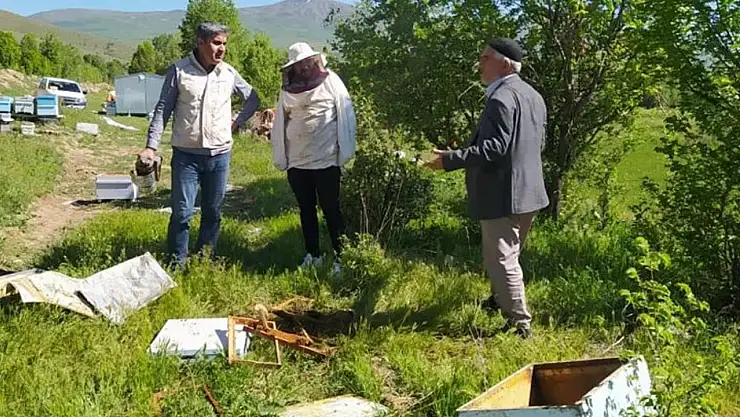 Van'da ayılar kovanları parçaladı!