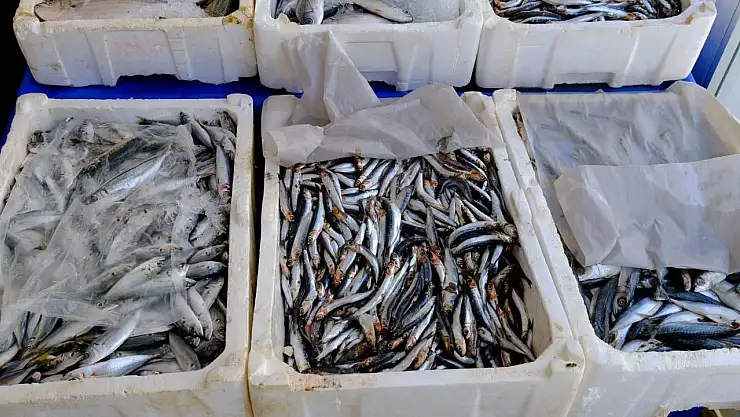 Van'da balık fiyatları belli oldu
