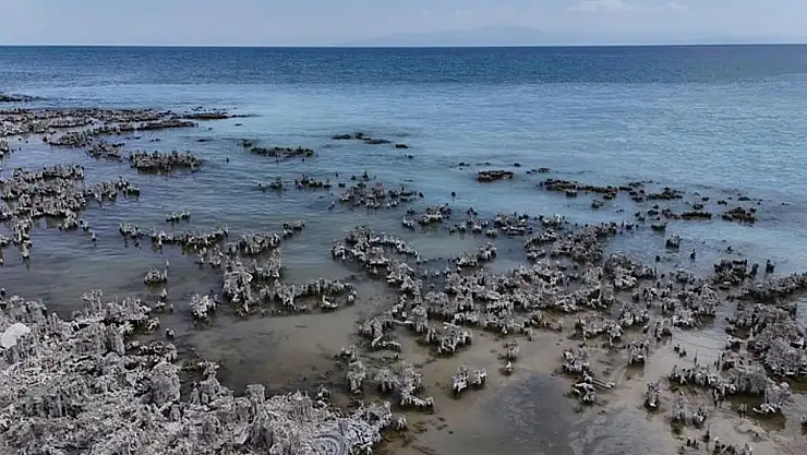 Van Gölü'nde en büyük mikrobiyalit görüntülendi!