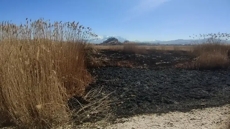 Van Gölü sahilinde yangın çıktı