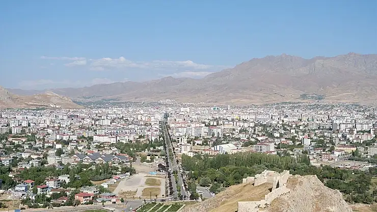 Van'ın 4 ürünü Coğrafi Tescil sürecinde!