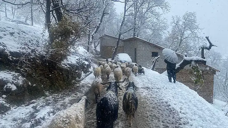 Van'ın Bahçesaray ilçesinde kar etkili oldu