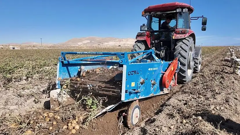 Van'da patates hasadı başladı