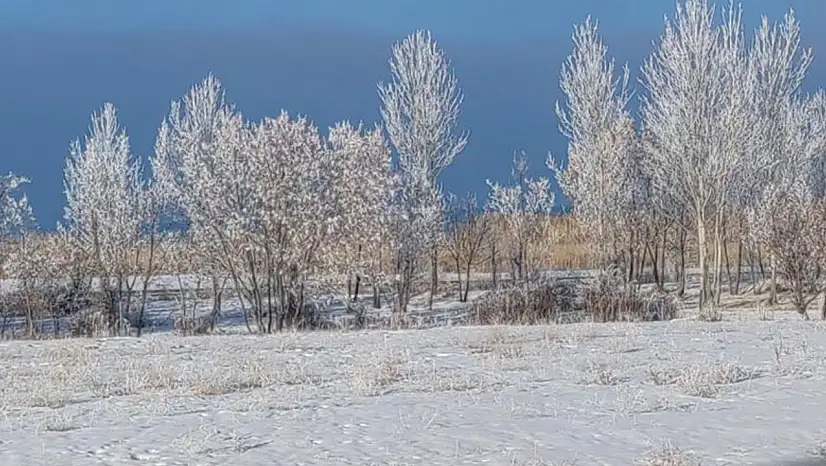 Van'da Sibirya soğukları hayatı olumsuz etkiliyor