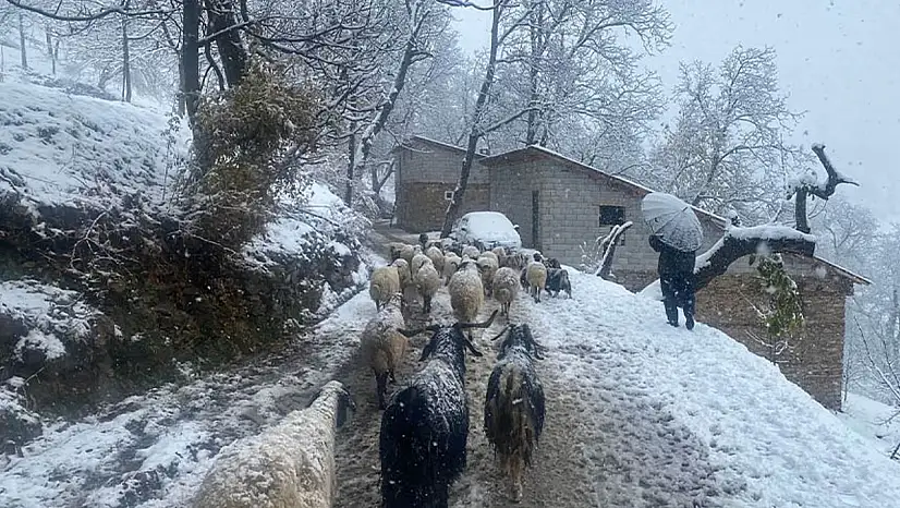 Van'ın Bahçesaray ilçesinde kar etkili oldu
