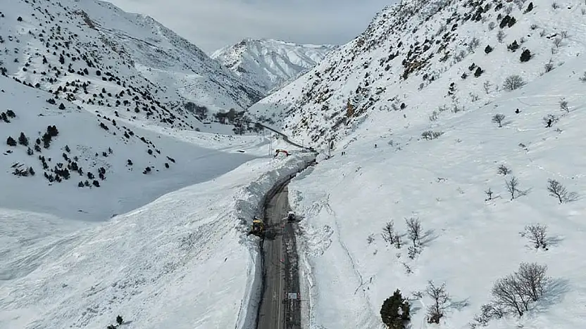 Van-Çatak yolu trafiğe kapatıldı